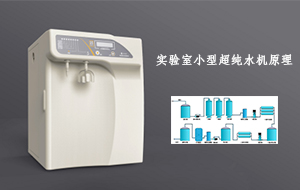 實驗室小型超純水機(jī)原理