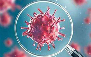 核酸檢測需要使用哪種超純水機