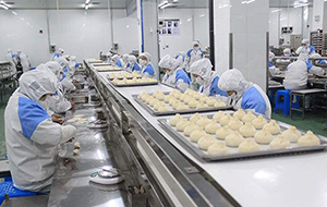 食品行業(yè)超純水系統(tǒng)特點(diǎn)及工藝介紹