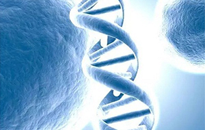 武漢大學(xué)周宇和朱玉賢基因組學(xué)研究獲得突破