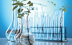 實(shí)驗(yàn)室超純水機(jī)春季使用應(yīng)當(dāng)注意哪些？