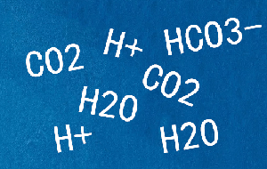 實(shí)驗(yàn)室純水機(jī)產(chǎn)出RO水呈酸性pH值比進(jìn)水低原因
