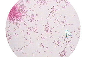 什么是水中的熱源？