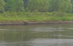 水的硬度是什么意思？