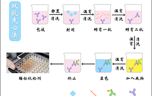 病毒研究所酶標(biāo)洗板機(jī)需要用什么樣的純水機(jī)?