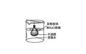 水中的膠體物質及懸浮物質是什么？