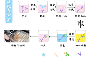 酶標(biāo)洗板機(jī)用純水要求