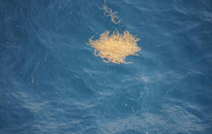 天然水中的雜質(zhì)對(duì)水質(zhì)的影響