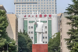 武漢大學(xué)醫(yī)院部