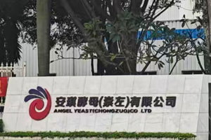 安琪酵母（崇左）有限公司實(shí)驗(yàn)室純水機(jī)