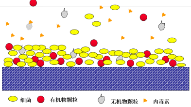 假期歸來，實(shí)驗(yàn)室純水系統(tǒng)這樣維護(hù)，避免實(shí)驗(yàn)