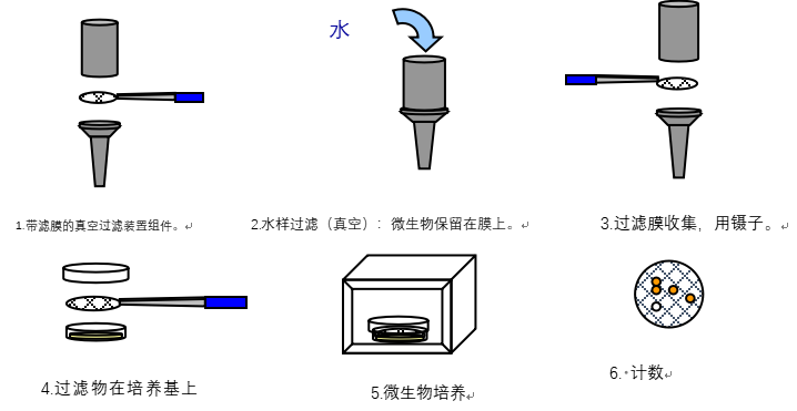 實(shí)驗(yàn)室純水中微生物的控制與檢測(cè)