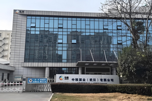中糧面業(yè)（武漢）有限公司
